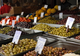 olive varieties